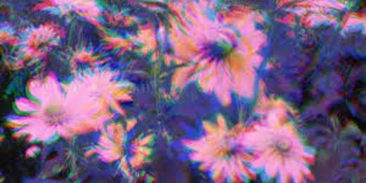 StayHigh_xx's profile banner image