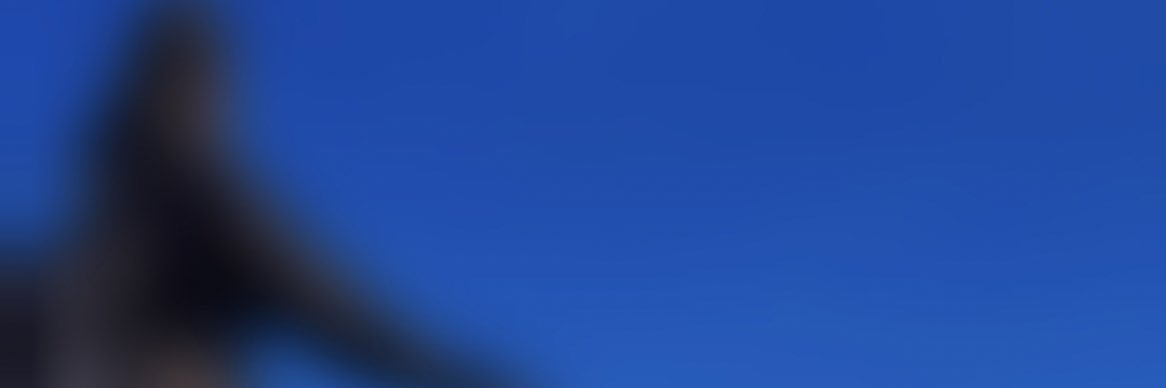 vnaking's profile banner image