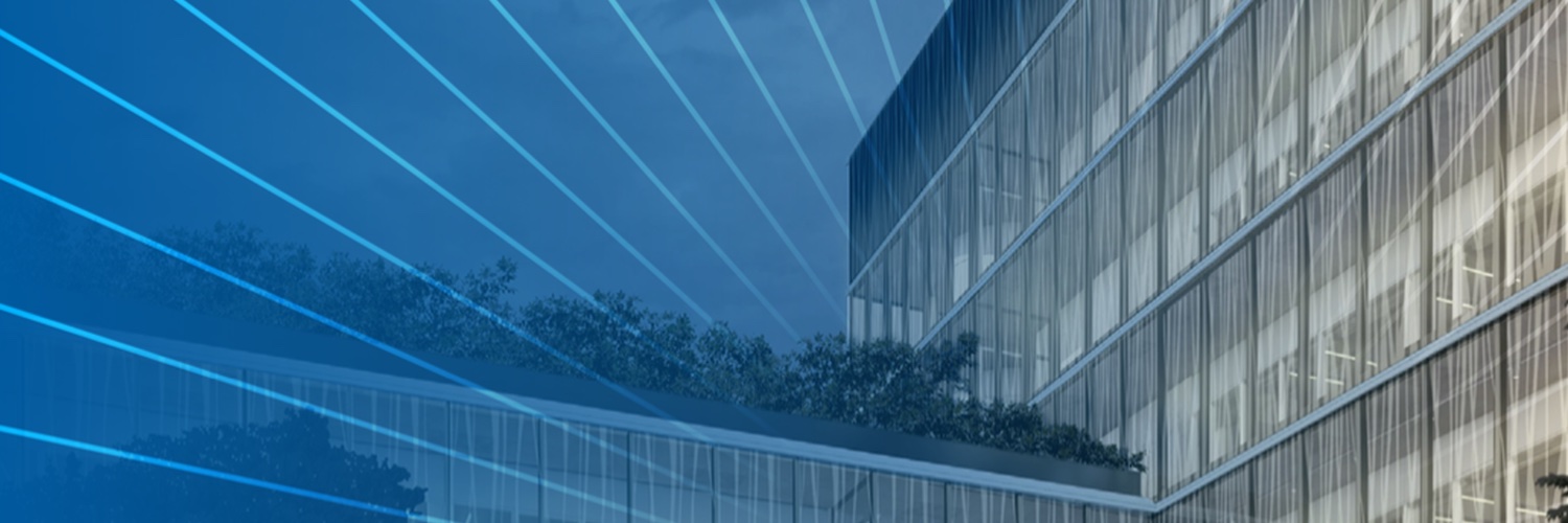 Brigitte Bouman banner