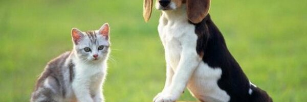 CandraFerratsen Profile Banner