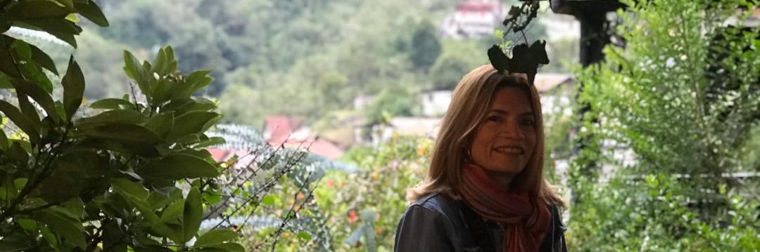 aligonzalezq's profile banner image
