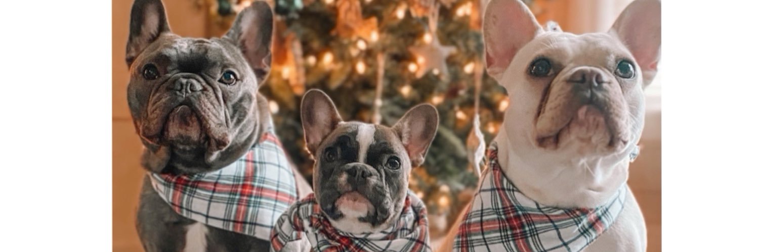 holly_neely's profile banner image