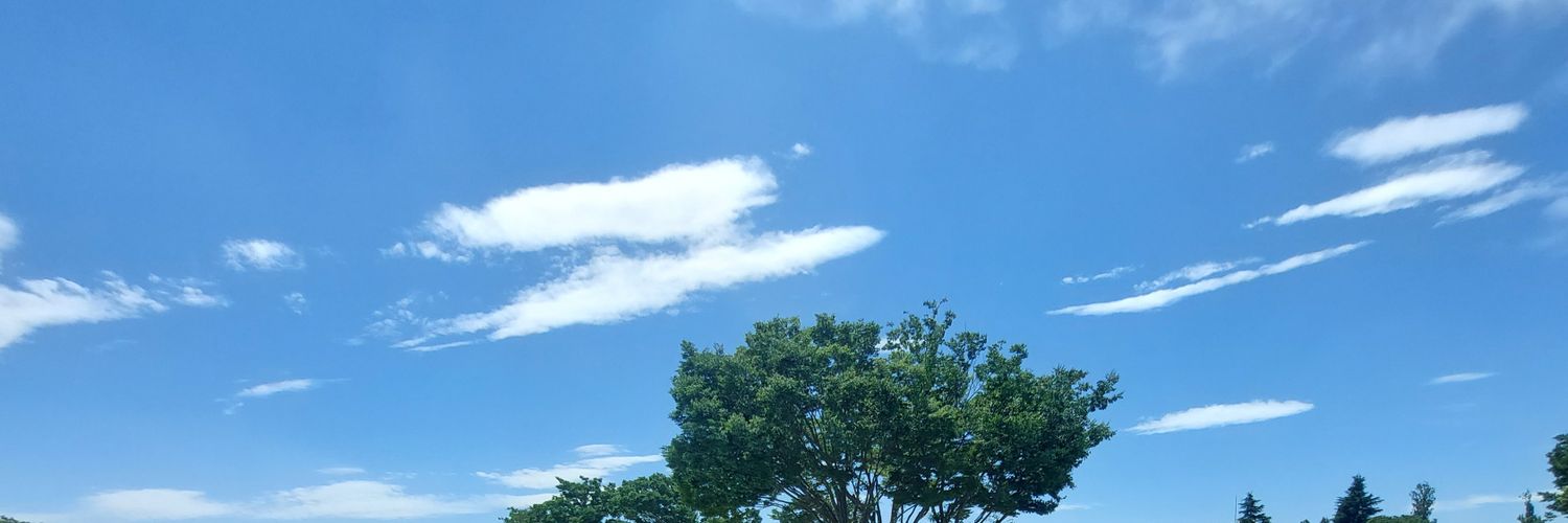 obrgna_'s profile banner image