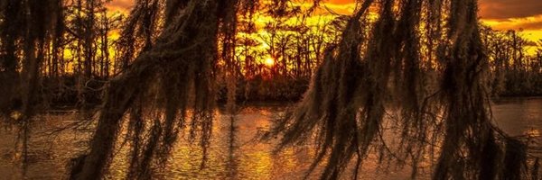 DCCajun Profile Banner