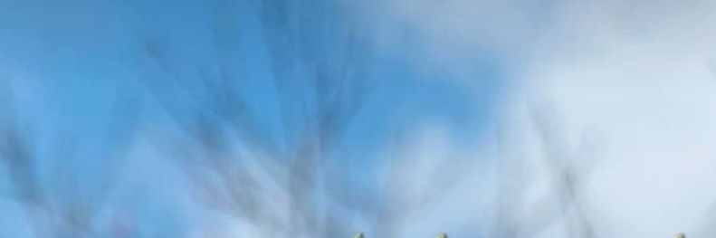rfrf_1411's profile banner image