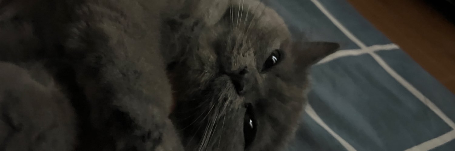 ardnvc's profile banner image