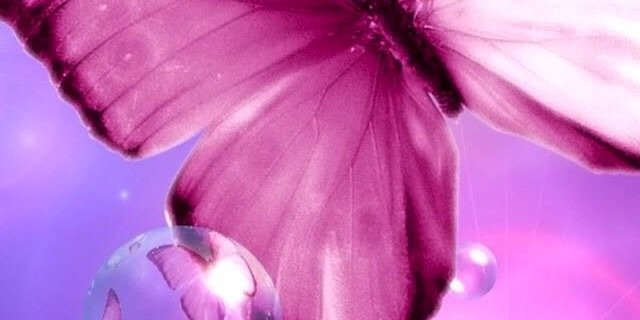 Lexi_Oak's profile banner image