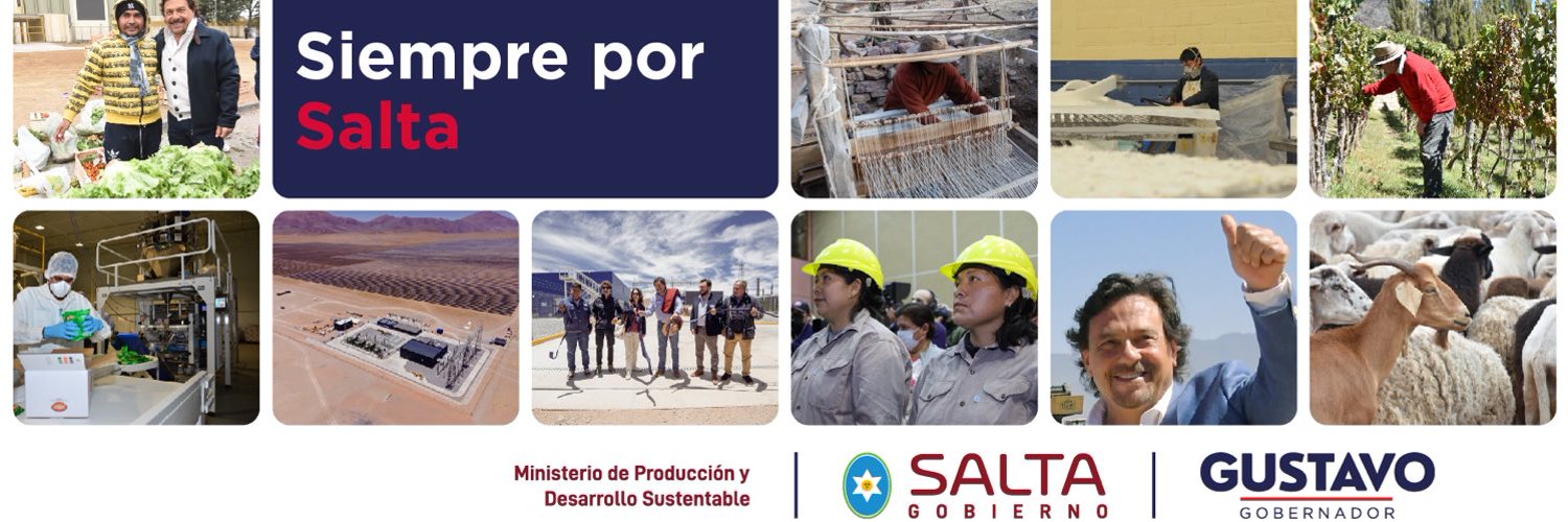 Secretaría de Minería y Energía de Salta Profile Banner