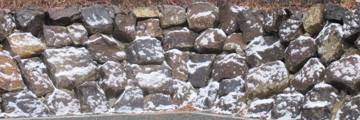 スポーツ店 （地域別） banner