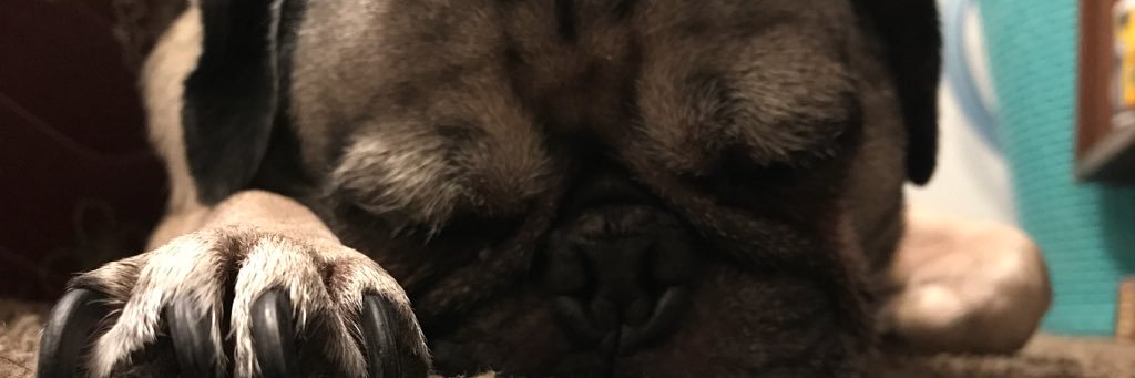 Lilo banner