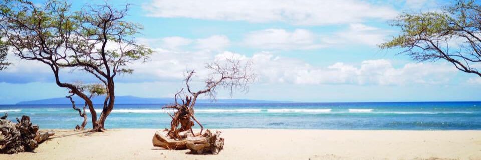 assort_ken's profile banner image