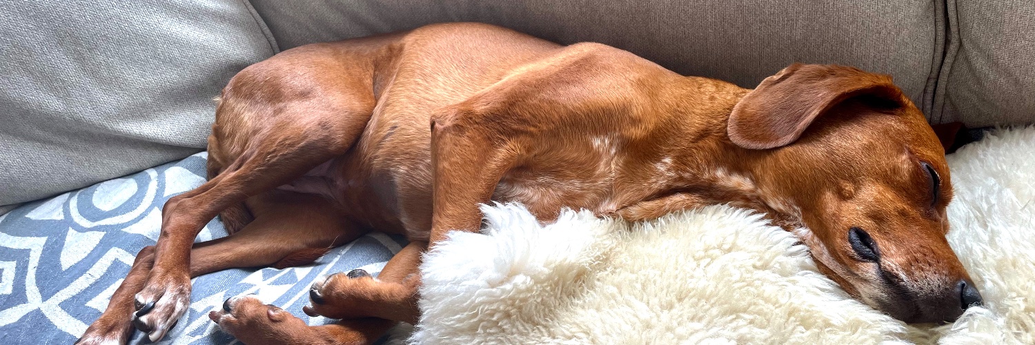 Kraig Schmidt banner