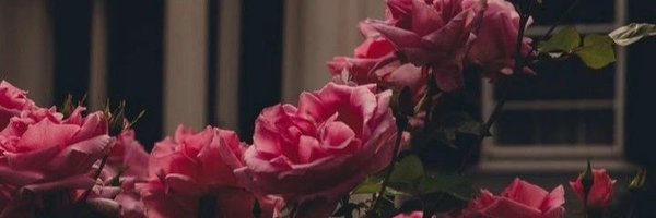 nwta39 Profile Banner