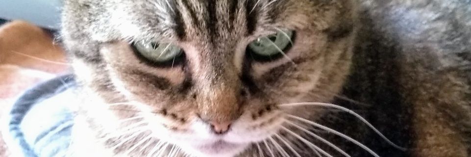 JeanTheo14's profile banner image