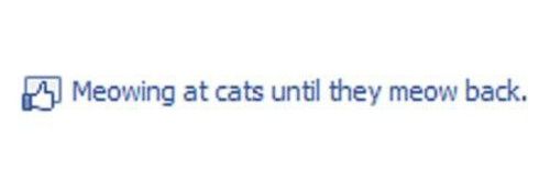 ◎ Katrya ◎ banner