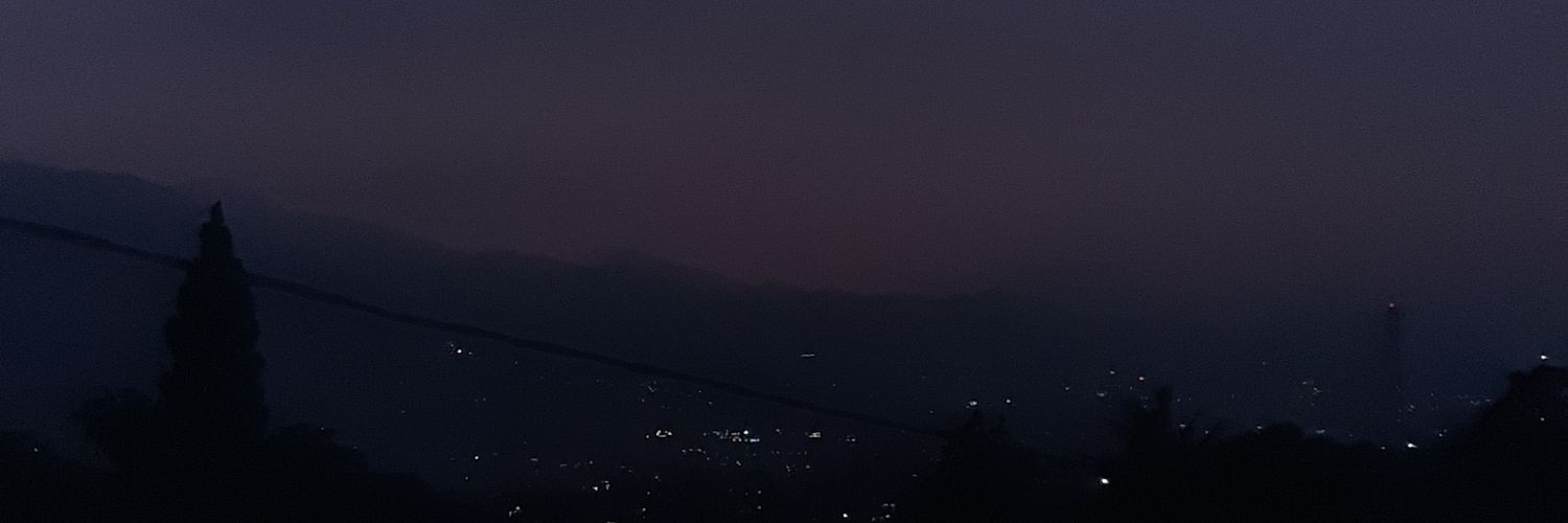 Lee banner