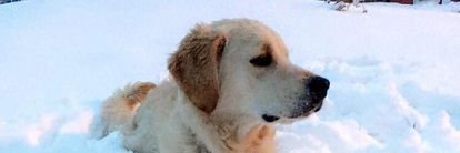 Freezing to death on legacy benefits ... banner