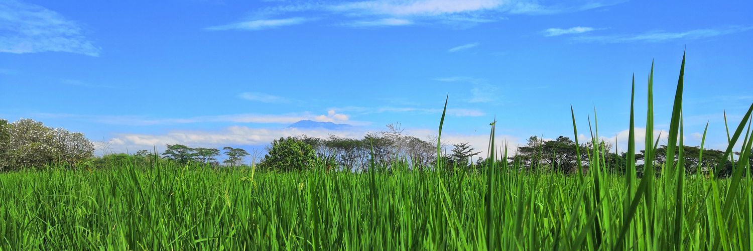 d2eetoo's profile banner image