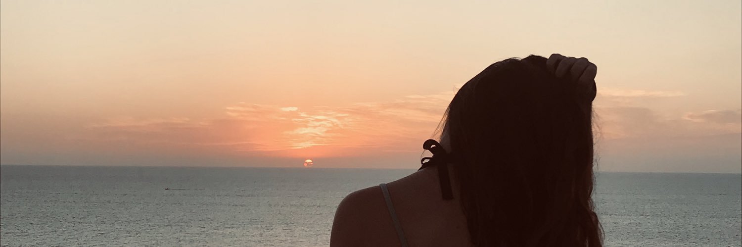 Lauraxvillalonga banner