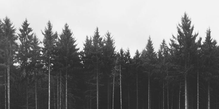 SNWilsonator's profile banner image