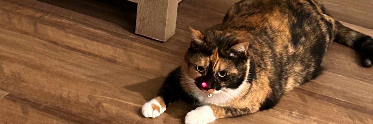 alejandraaas_'s profile banner image