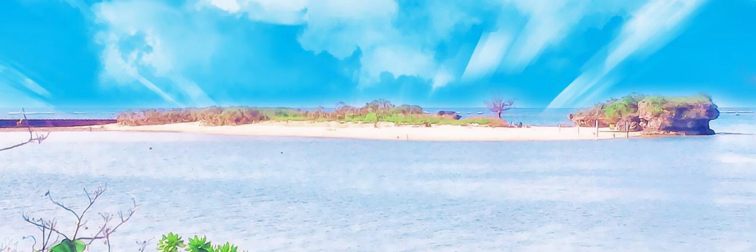 alapacicar's profile banner image