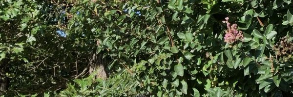 n_igberaese Profile Banner