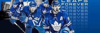 mpleafan's profile banner image