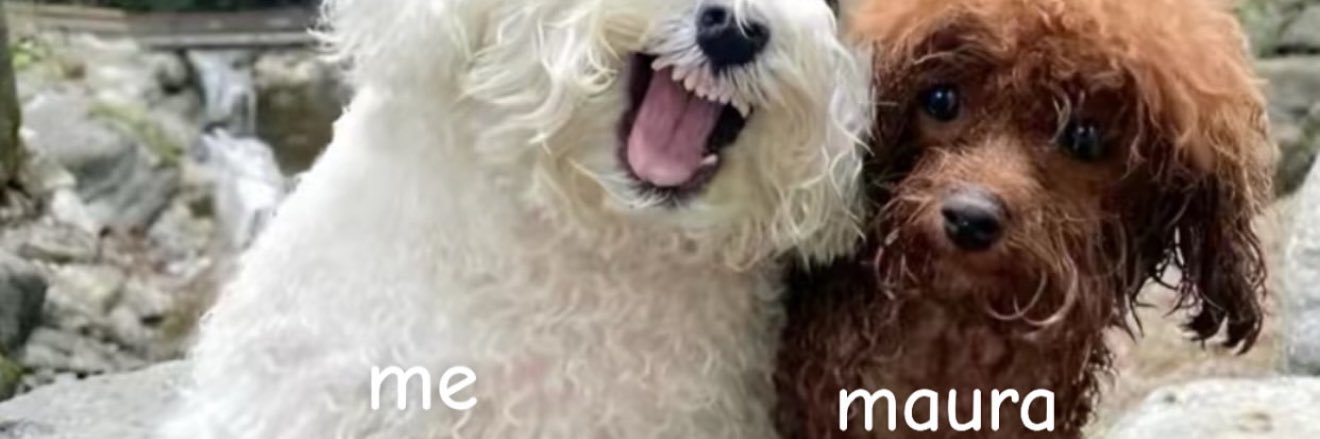 taylorhaa's profile banner image