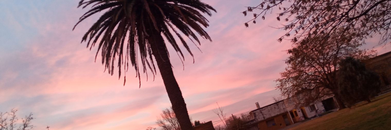 Miliorsetti's profile banner image