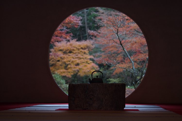 nyanko_box's profile banner image