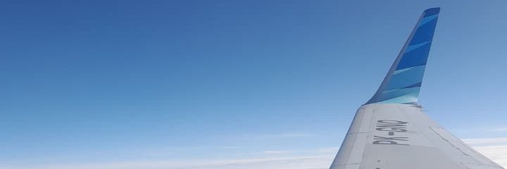 bogorsky banner