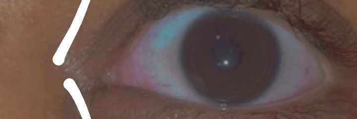 bitch 🤍🤎 banner