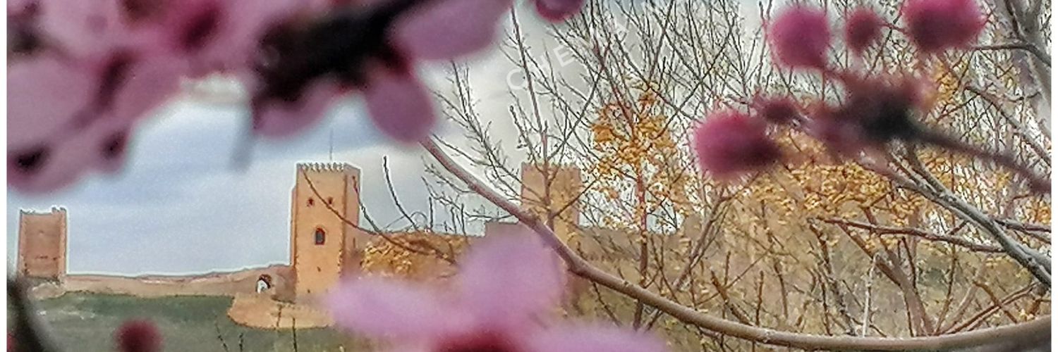 ELENAVIANA30's profile banner image