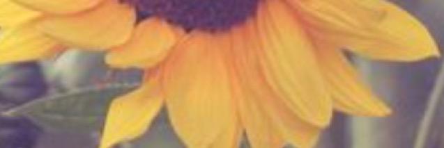 Circe_LaMid's profile banner image