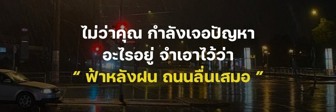 anonymouslycat's profile banner image