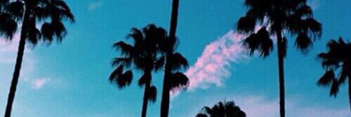 Kasey_Ribble's profile banner image