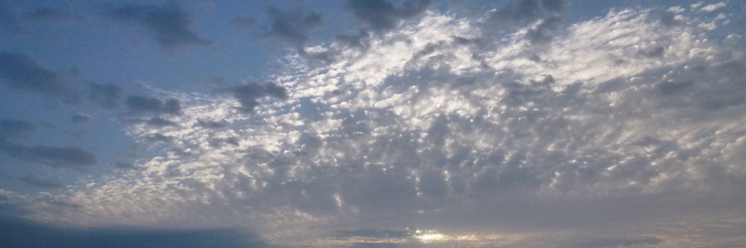 qtmami's profile banner image