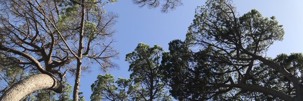 HorionStephanie Profile Banner