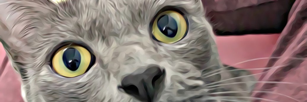 pingns's profile banner image