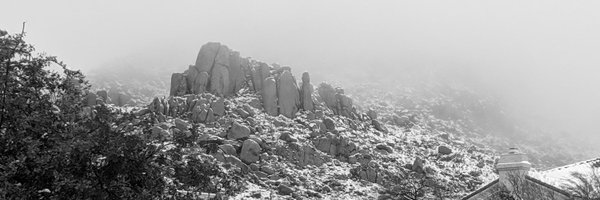 _RedWalrus_ Profile Banner