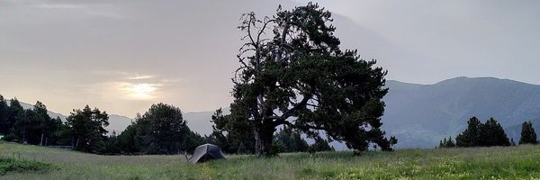 IrisProff Profile Banner