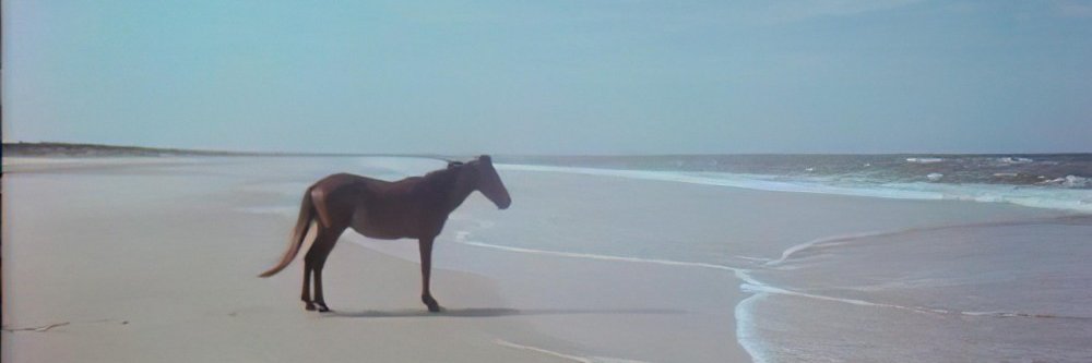 NotGelus's profile banner image