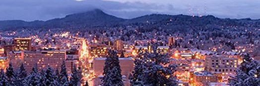 Michael DiMarco banner