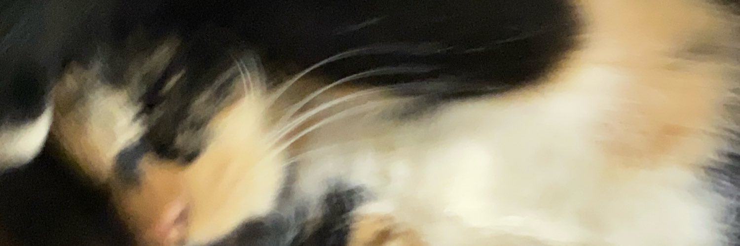 May ( ´-ω-) banner