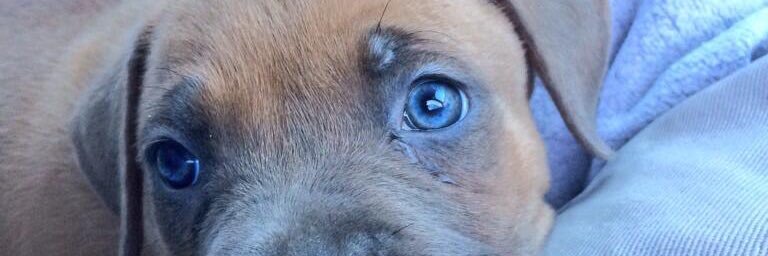 AyeLittleBil's profile banner image