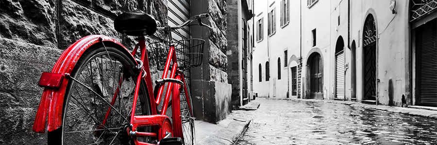 GriffEyePhotography banner