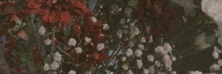 Naz_nasuha's profile banner image