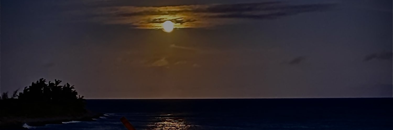 有閒人 banner