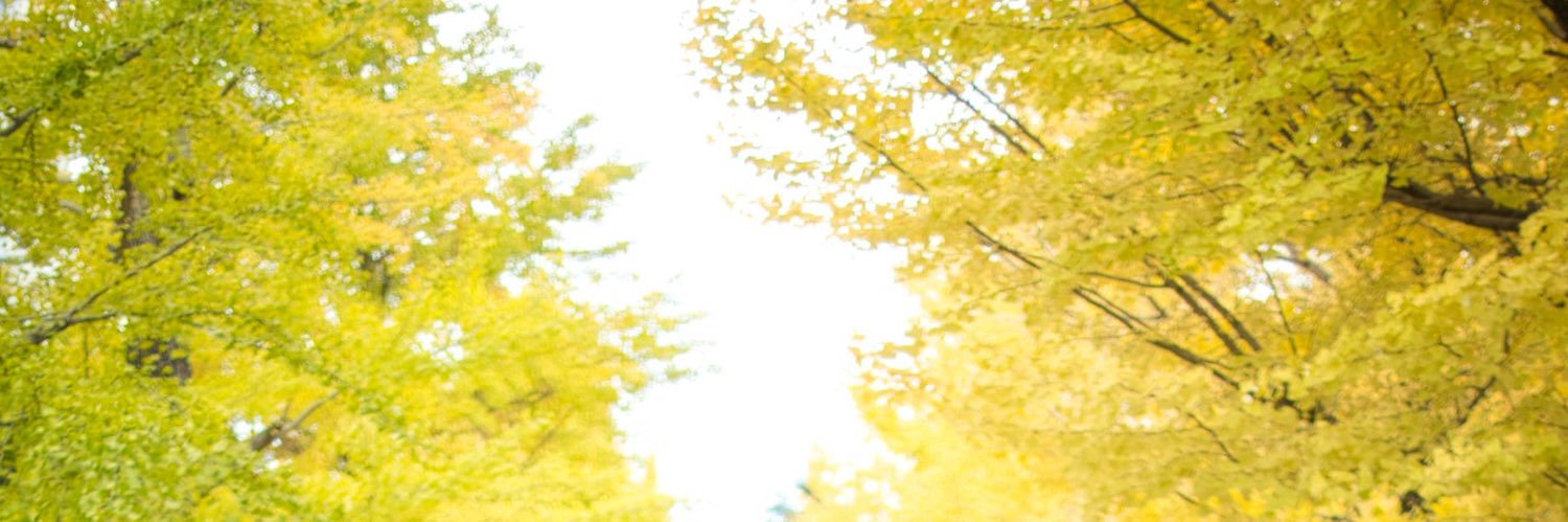 おりざ(それほほ) banner